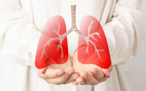 Which Department and Doctor Should You Visit for a Lung Examination?