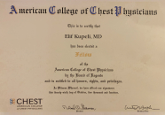 Prof. Dr. Ayşe Elif Küpeli