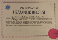Prof. Dr. Ayşe Elif Küpeli