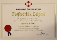 Prof. Dr. Ayşe Elif Küpeli